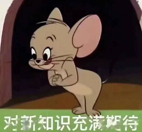 江湖密报各大武林高手均透露求学意向