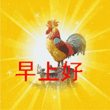 早上好表情包 卖萌问候语