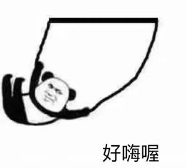 端午安康,高考加油