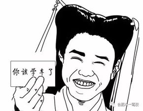 超过三条,你就该学车了