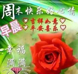 微信早上好表情包早安