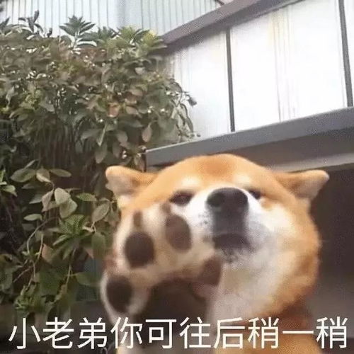 毕业生注意啦3000块钱补助领取了吗