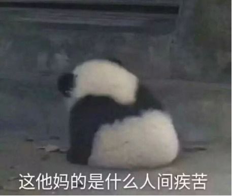 让人笑到嘴脚开裂的30条沙雕文案永远年轻,永远花呗花不清
