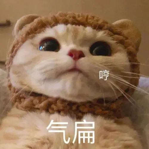 法律底线都没了,说唱歌手逼迫女友出去卖