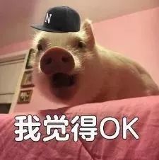 这些超美腻的衣服鞋子还没加购物车,你就想睡过双十二