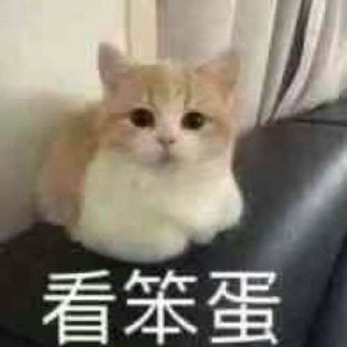 表情包沙雕表情包第三百七十五期