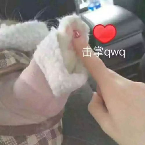 心理学考研难吗有什么建议