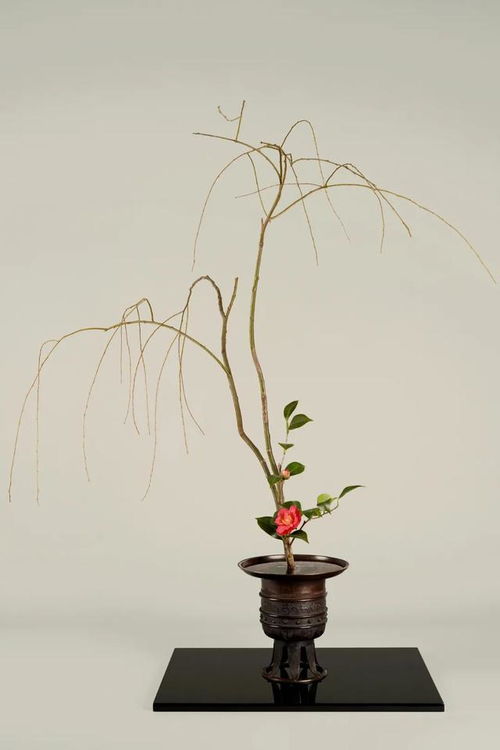 她是特立独行的才女,每一件作品都诠释着生命的流动感