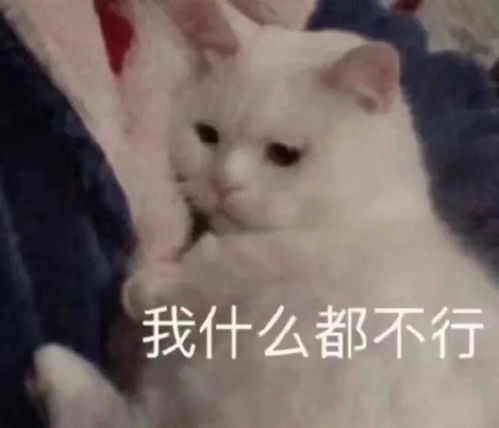 学冷门专业的人,后来都怎么样了