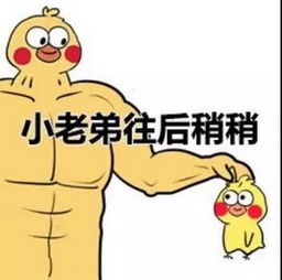 表情包,抖音七彩小黄鸭全套表情包哪里有