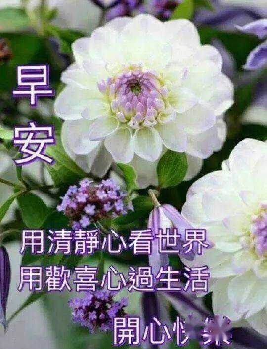 新版早上好表情包动态图片暖心漂亮的早上好可爱表情包