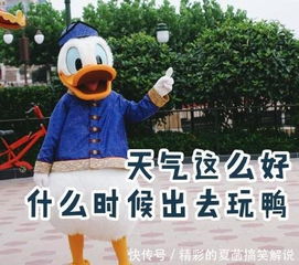 打招呼表情包早上好鸭你在干嘛鸭哈喽鸭今天吃什么鸭