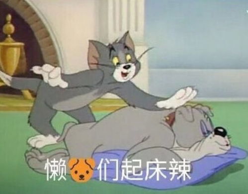 你有哪些叫起床的表情包麻烦把水印关一下谢谢啦