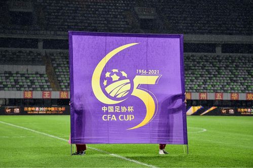 中国足协杯全民足球的盛会