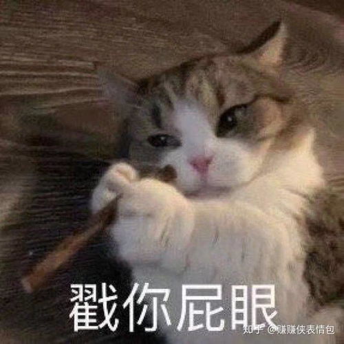 可爱表情包图片做人也要点脸