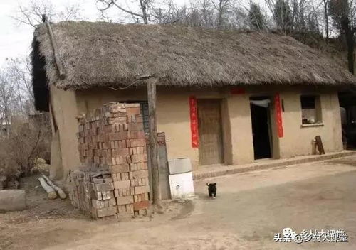 看六七十年代的农村老照片,感慨50年沧桑巨变