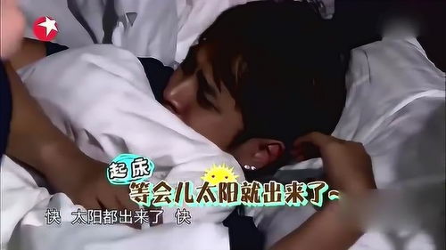 小猪被人整醒,表情无辜,发誓要好好整下一个受害者真逗