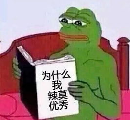 真香预警,试完这波美康粉黛,我被国货安排的明明白白