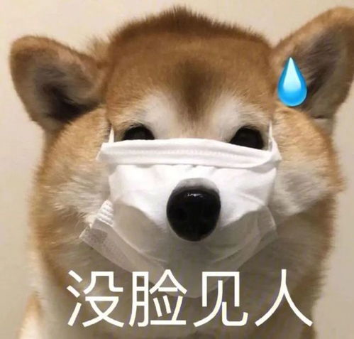 沙雕文案丨这世上出人意料的事有很多
