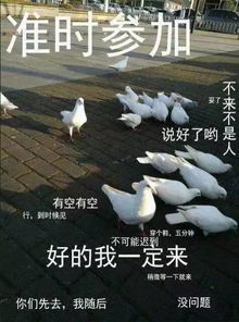 圈养起来的猪,再怎么努力,都是家畜