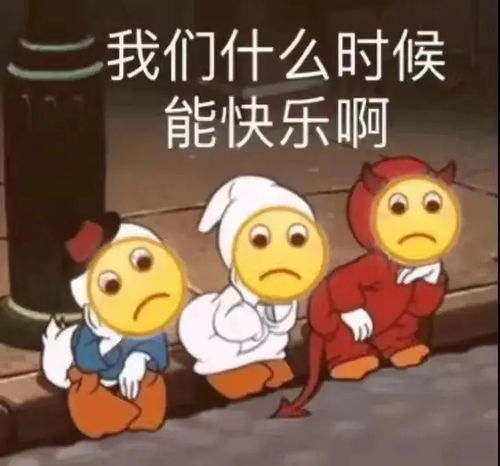 各种各样的表情包奇趣