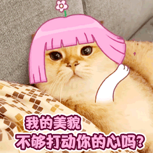 微信撩对象动态表情包想你想得睡不着,最喜欢你了