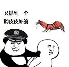 胆大包天深海杀手竟被愚蠢的人类拿来当坐骑