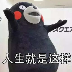 新生必看理工行必备攻略