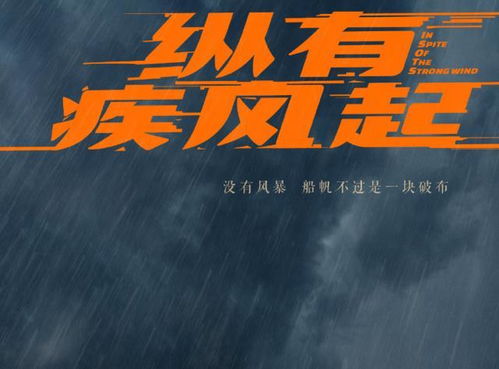 纵有疾风起文字图片