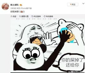 这个外国人,真的应该去吃屎中国