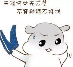 丹江口天气转暖了,明天太阳就出来了还有一大波好政策也来了搜狐