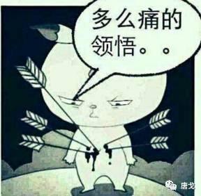 肥唐说白百合出轨最吃亏的不是陈羽凡那是..