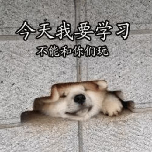 还有不到一个月就要自考了,怎么高效复习