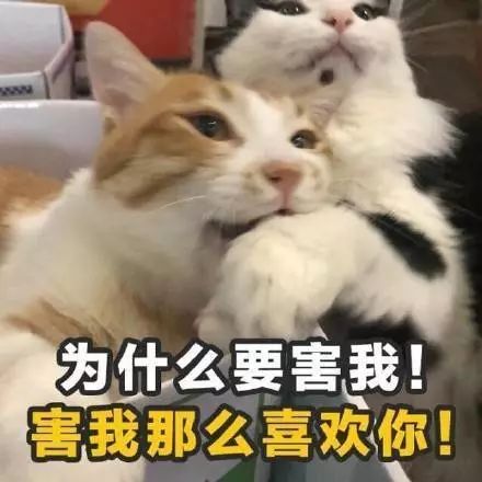 土味情话表情包,拿去撩你的男女神