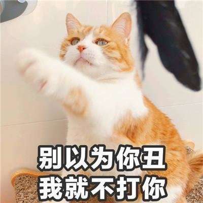最新聊天表情大全聊天表情