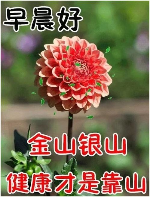 朋友圈很暖心的早上好问候祝福语短信,2021年漂亮的早晨好表情最新版