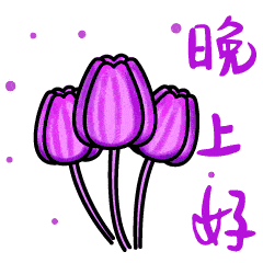 晚上好图片大全晚上好的图片