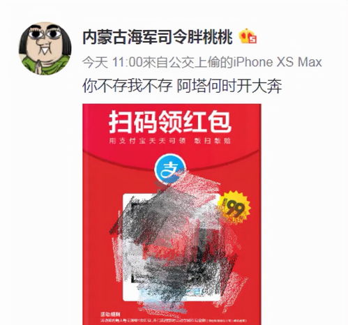 退圈读书捞快钱疑似秃顶,表情包萌娃现状大不同