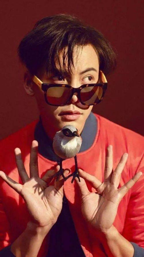 初春必剪的陈伟霆8款男士发型,你们喜欢那一款