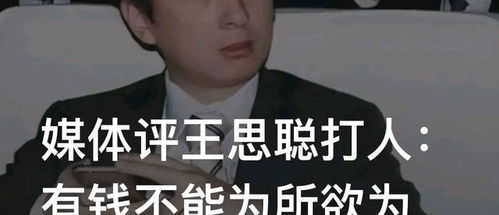 媒体评王思聪打人有钱不能为所欲为