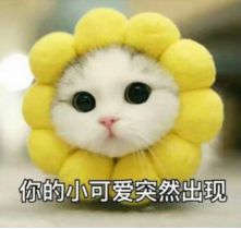 小辽说天气闷热如影随形,雨水何时来