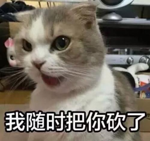 爆笑段子今天去辞职,老总问我为什么