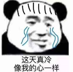 熊猫头表情包合集这天真冷,像我的心一样
