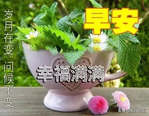 早安动态大全最新早安早安动图发微信表情