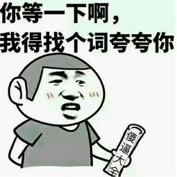 我们在拍流星花园,台湾却出了暗黑神剧