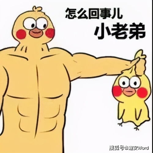 当代熬夜青年丨笑话十刻