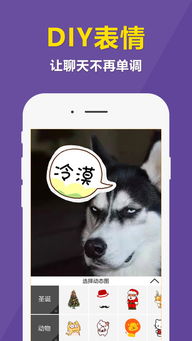 快动app下载快动手机版下载手机快动下载