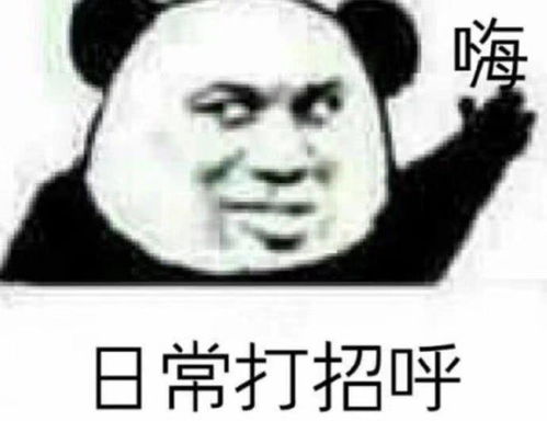 你收藏过哪些有趣的表情或图片