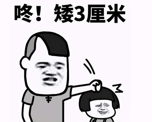 演员请就位2的心机boy资历最浅的郭敬明,凭什么怼其他导演