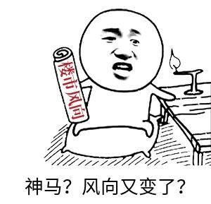 我被威尼斯骗了表情包文案